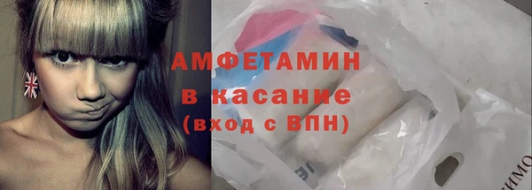 индика Малоярославец