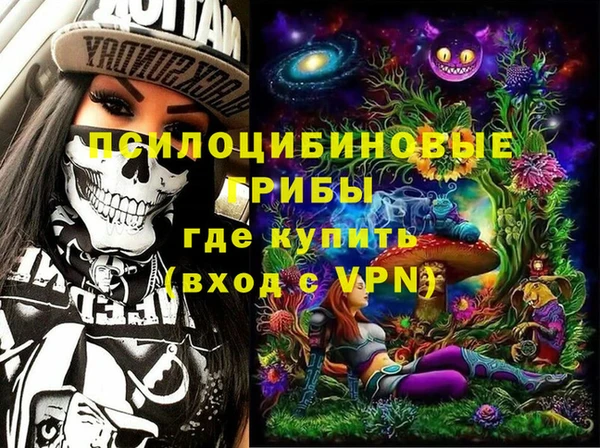 шишки Балабаново