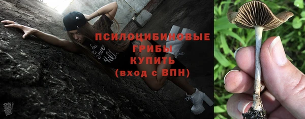 шишки Балабаново
