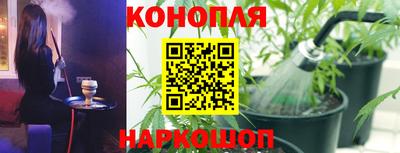наркотики Сланцы