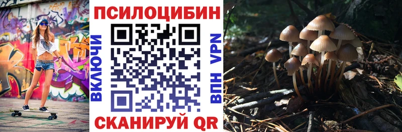 kraken tor Саяногорск Галлюциногенные грибы Psilocybe