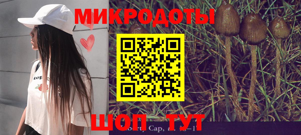 Саяногорск  Галлюциногенные грибы прущие грибы  Вход с VPN 