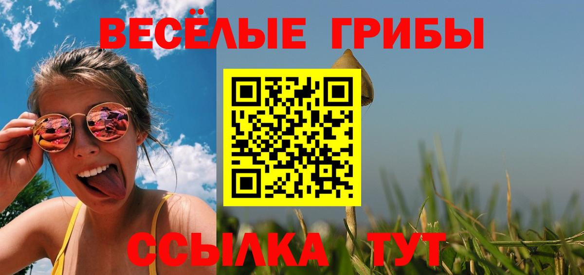 Галлюциногенные грибы Cubensis Саяногорск