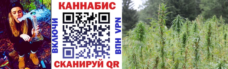 Бошки Шишки сатива  Саяногорск 
